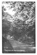 990450 Oostvoorne aan Zee 1959 ZH Overbos Gelopen met postze, Ophalen of Verzenden, 1940 tot 1960, Gelopen, Zuid-Holland