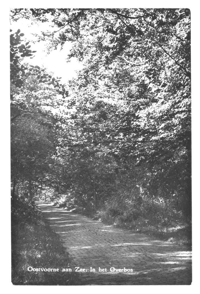 990450 Oostvoorne aan Zee 1959 ZH Overbos Gelopen met postze, Verzamelen, Ansichtkaarten | Nederland, Gelopen, Zuid-Holland, 1940 tot 1960