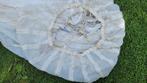 Amerikaanse Reserve parachute Compleet 1943, Ophalen of Verzenden, Landmacht, Amerika
