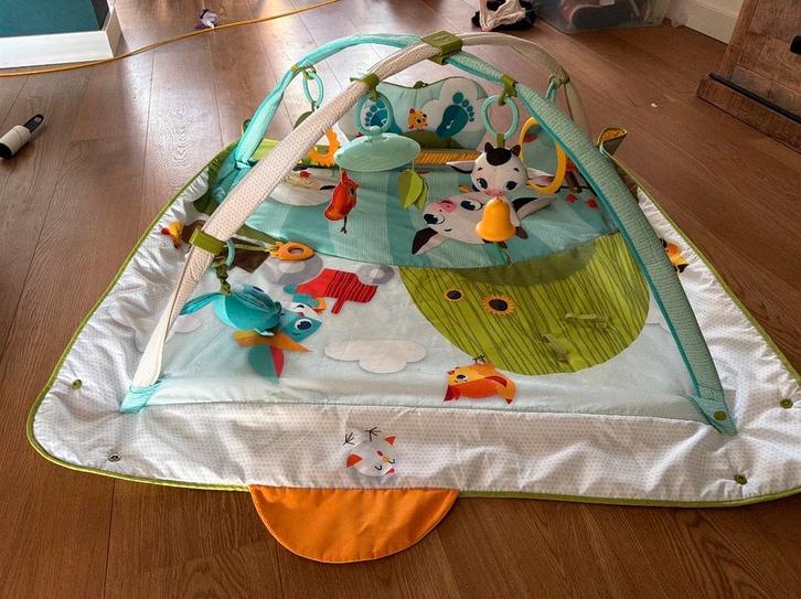 Tiny Love Interactief Speelkleed, Kinderen en Baby's, Speelgoed | Speelkleden, Zo goed als nieuw, Ophalen of Verzenden