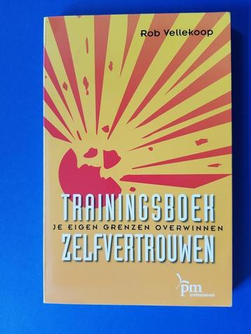 PM-reeks - Trainingsboek zelfvertrouwen -  Rob Vellekoop beschikbaar voor biedingen