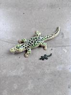 Playmobil 6644 alligator met baby, Ophalen of Verzenden, Gebruikt, Complete set