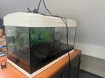 Marina Aquarium 60L, Dieren en Toebehoren, Vissen | Aquaria en Toebehoren, Ophalen of Verzenden, Leeg aquarium