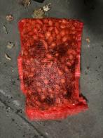 Lente uien Zak - Gold Quality, Tuin en Terras, Bloembollen en Zaden, Ophalen