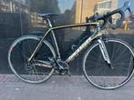 Sensa Calabria, Fietsen en Brommers, Fietsen | Racefietsen, 28 inch, Carbon, Nieuw, 57 tot 61 cm