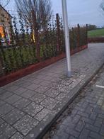 Mooie hedera Haag plus aanplanten met of zonder schutting, Tuin en Terras, Planten | Struiken en Hagen, Ophalen, Overige soorten