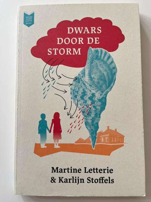 Dwars door de storm (Martine Letterie) leesboek, Boeken, Kinderboeken | Jeugd | 10 tot 12 jaar, Zo goed als nieuw, Ophalen of Verzenden