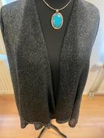 Sweater Cardigan Zwart/Zilver 3xl oudejaars tip, Kleding | Dames, Grote Maten, Glen mode, Zwart, Ophalen of Verzenden, Zo goed als nieuw