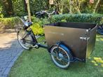 Babboe E dog elektrische bakfiets, Fietsen en Brommers, Fietsen | Bakfietsen, 4 kinderen of meer, Gebruikt, Elektrisch, Ophalen