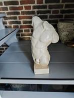 Mooi torso beeld 25 hoog breedte 20 cm, Ophalen of Verzenden