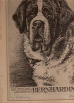 ETS afdruk St Bernhard Original Radierung 1964 BERNHARDINER, Ophalen, Nieuw