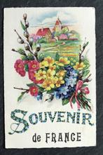 Natuurlijke bloemenpracht, Souvenir de France, Ongelopen, Natuur, Voor 1920, Verzenden