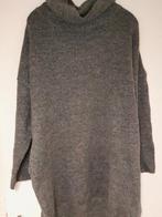 Grijze wijde kol L, Kleding | Dames, Ophalen of Verzenden, Gedragen, Grijs, Trui of Vest