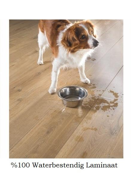 Waterbestendig Laminaat Natuur Eiken Gar. 7mm dik €12,95m2, Bruin, 75 m² of meer, Nieuw, Ophalen of Verzenden