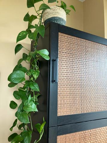 Ikea Besta boekenkast 193x60x41 - afbeelding 8