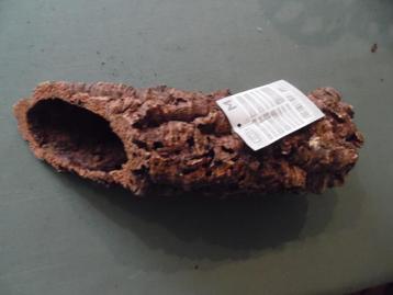 Holle stam voor knaagdier. beschikbaar voor biedingen