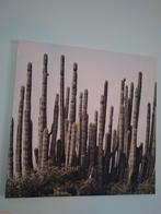 Canvas met cactussen, Ophalen of Verzenden, Schilderij, 75 cm of meer