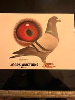 Te koop mooie doffer, Dieren en Toebehoren, Vogels | Duiven, Mannelijk, Postduif