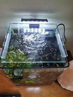 Aquarium, Dieren en Toebehoren, Vissen | Aquaria en Toebehoren, Ophalen, Leeg aquarium