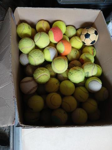 Tennis ballen doos vol beschikbaar voor biedingen