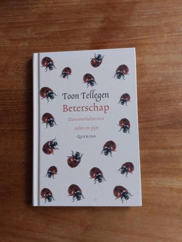 Beterschap    Toon Tellegen beschikbaar voor biedingen