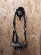 Halster maat shetlander, Ophalen, Overige soorten