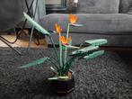 LEGO 10289 Paradijsvogelplant - Compleet met doos en boekje, Kinderen en Baby's, Speelgoed | Duplo en Lego, Ophalen of Verzenden