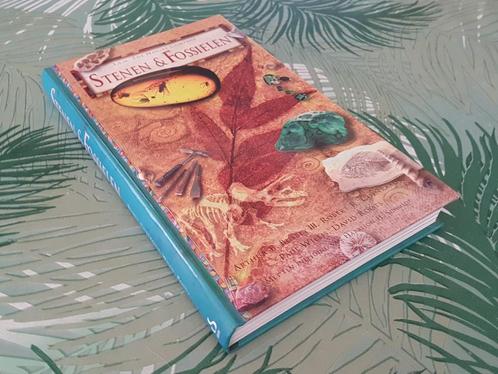 STENEN EN FOSSIELEN  - David Roots & Paul Willis (Eindred), Boeken, Natuur, Zo goed als nieuw, Ophalen of Verzenden