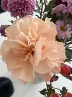 huurwoning gezocht – Wijchen, Grave & Alverna