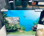 Aquarium, Dieren en Toebehoren, Vissen | Aquaria en Toebehoren, Ophalen, Zo goed als nieuw, Leeg aquarium