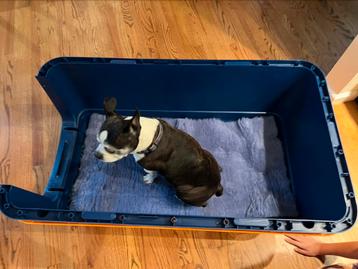 Pet Crate beschikbaar voor biedingen