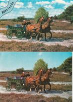 2 ansichtkaarten van boerenwagen met tweespan paarden, Ophalen of Verzenden, 1960 tot 1980, Gelopen, Friesland