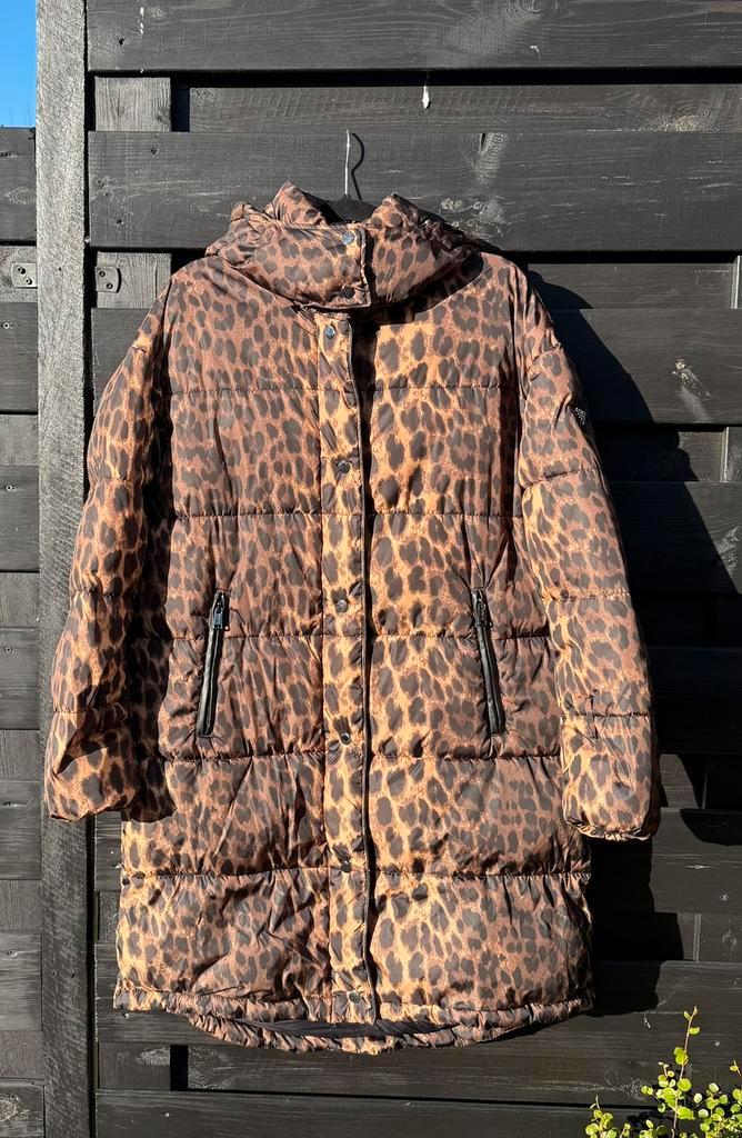 Nieuwe panter jas van Guess 40/42 - L /XL, Kleding | Dames, Jassen | Winter, Nieuw, Zwart, Ophalen of Verzenden
