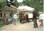 Lunteren- -Huifkartocht De Blije Werelt., Verzamelen, Verzenden, 1960 tot 1980, Ongelopen, Gelderland