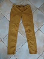 Miss Etam Tregging Maat 40, Maat 38/40 (M), Geel, Ophalen of Verzenden, Miss Etam