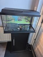 Juwel aquarium 1 jaar oud, Ophalen, Zo goed als nieuw, Leeg aquarium