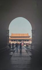 Chinese Muur, Ophalen, Zo goed als nieuw, 75 cm of meer