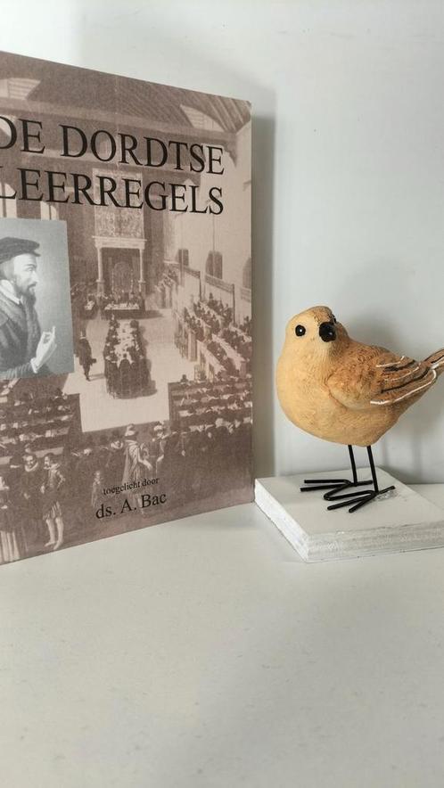 Bac, Ds. A.; De Dordtse leerregels, Boeken, Godsdienst en Theologie, Gelezen, Christendom | Protestants, Ophalen of Verzenden