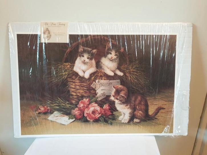 Poster nog in plastic. Klassieke afbeelding met kittens., Huis en Inrichting, Woonaccessoires | Schilderijen, Tekeningen en Foto's