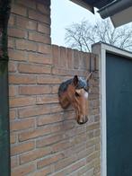 Paardenkop, Ophalen