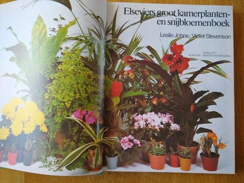 Elseviers groot kamerplanten- en snijbloemenboek, Boeken, Wonen en Tuinieren, Gelezen, Kamerplanten, Ophalen of Verzenden