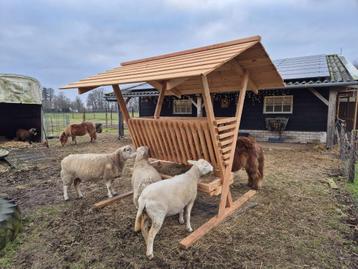 hooiruif schaap hert ree alpaca ed beschikbaar voor biedingen