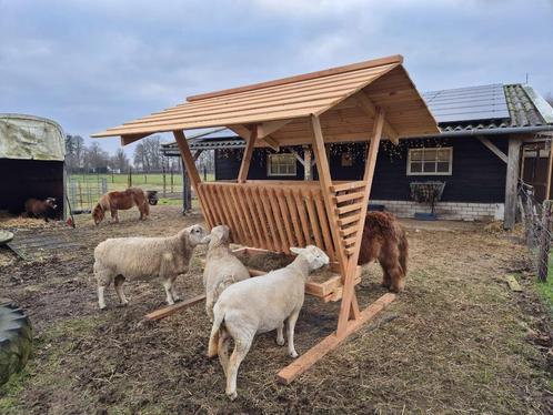 hooiruif schaap hert ree alpaca ed, Dieren en Toebehoren, Stalling en Weidegang