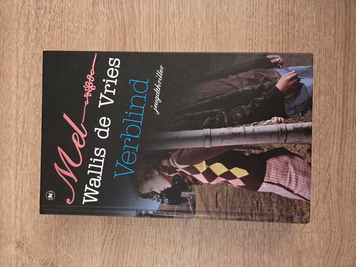 Mel Wallis de Vries - Verblind, Boeken, Kinderboeken | Jeugd | 13 jaar en ouder, Zo goed als nieuw, Ophalen of Verzenden