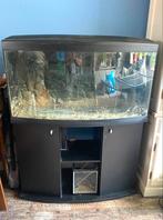 Groot aquarium 2 delen 330 ltr + onderkast + pomp, Dieren en Toebehoren, Ophalen, Gebruikt, Leeg aquarium
