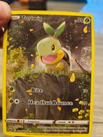 Turtwig hp80, pokemon kaart, Hobby en Vrije tijd, Verzamelkaartspellen | Pokémon, Ophalen of Verzenden