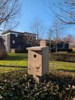 Koolmees vogelhuisje van circulair hout, Ophalen of Verzenden, Nieuw