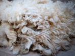 schapen wol, Ophalen of Verzenden, Nieuw, Spinwol