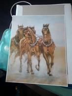 Paarden print, Antiek en Kunst, Kunst | Tekeningen en Foto's, Ophalen of Verzenden