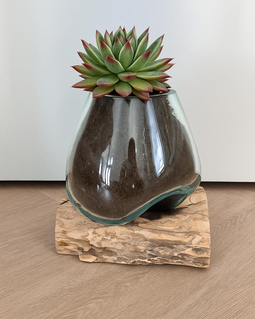 Druppelvaas op boomstronk, Huis en Inrichting, Woonaccessoires | Vazen, Nieuw, Overige kleuren, Minder dan 50 cm, Glas, Ophalen of Verzenden